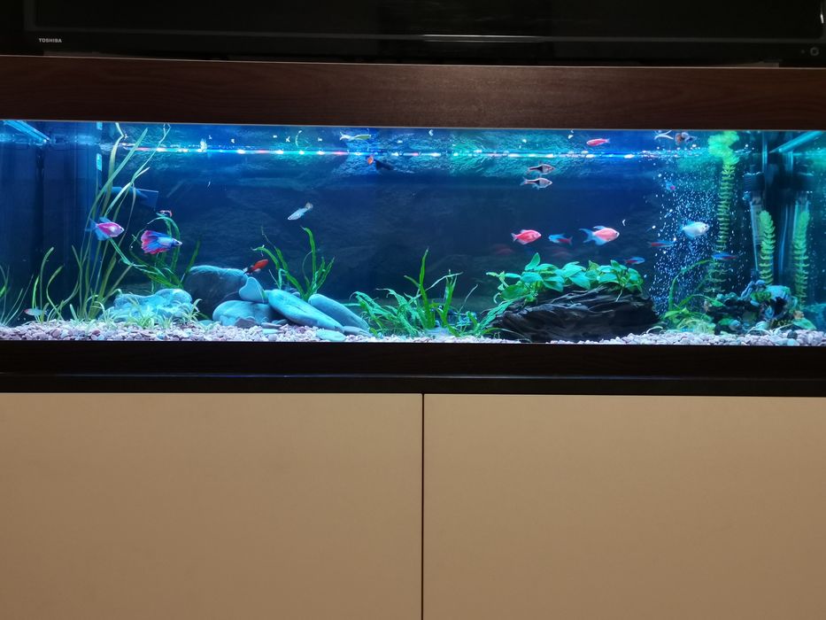 Аквариум 100литра +