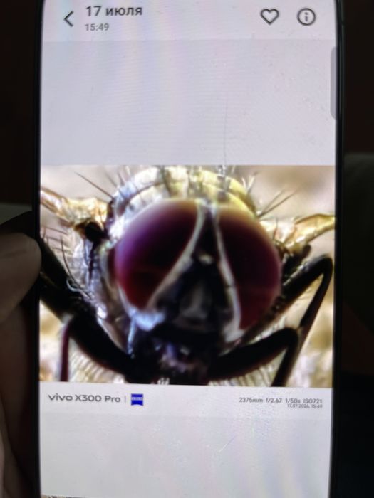 Vivo x300 pro. Camerafon