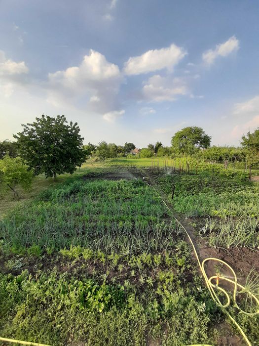 Teren 2000 mp cu front mare, + casa cu utilitati Biharkeresztes