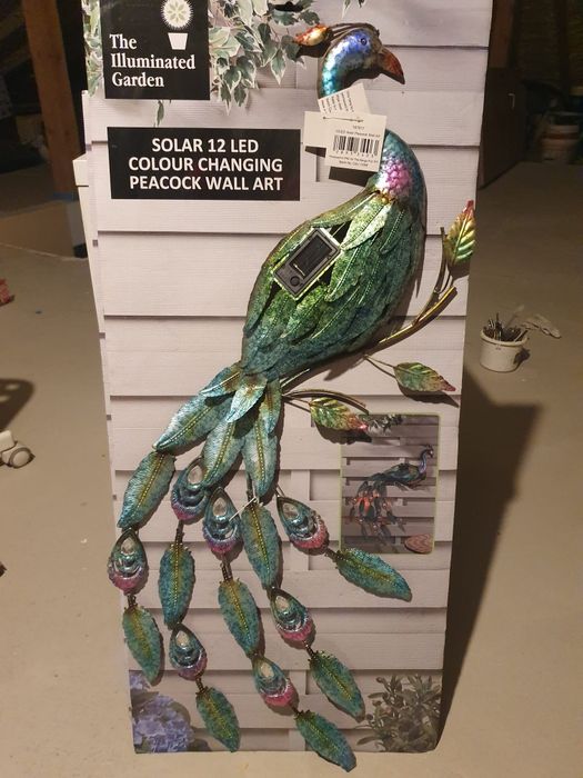 Paun de gradina solar si lizard
