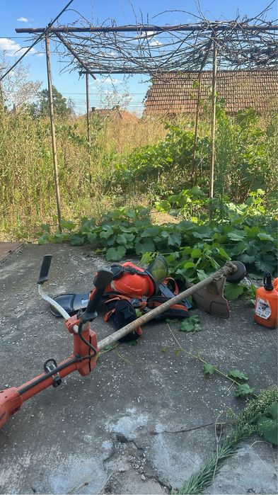 Косене , премахване и рязане на дървета