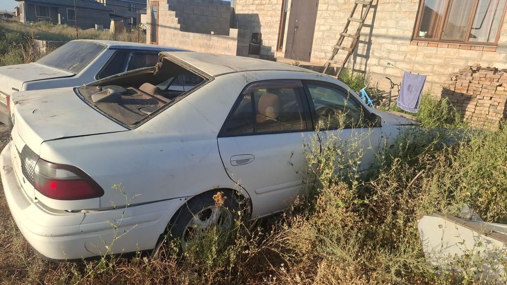 Мазда 626 птичка