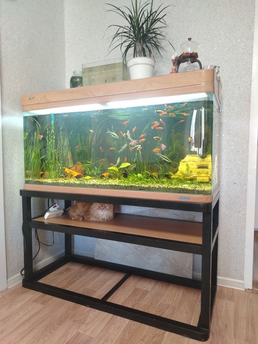 Продам аквариум JEBO.
