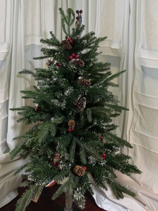 Арча , янги йил арчаси , ёлка