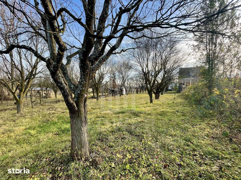Teren intravilan 1.915 mp + cabană din lemn | Tocile – Sadu