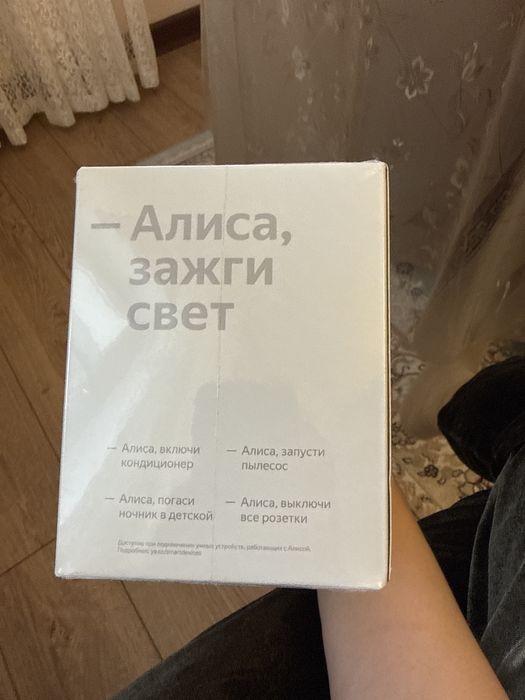 Алиса станция мини