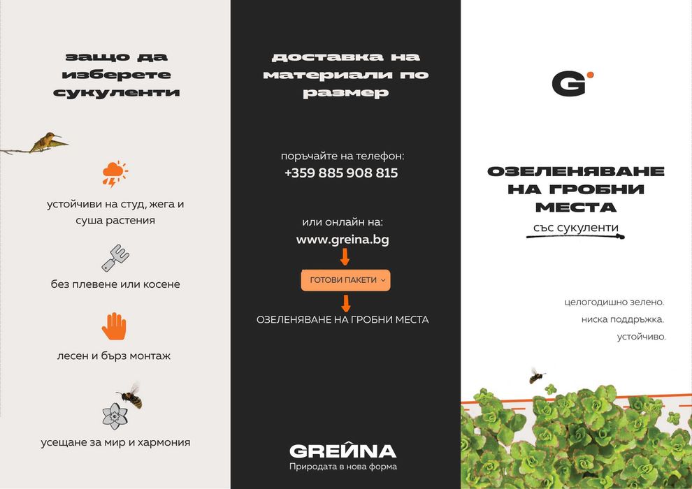 Пакет за озеленяване на гробно място със седуми GREЙNA