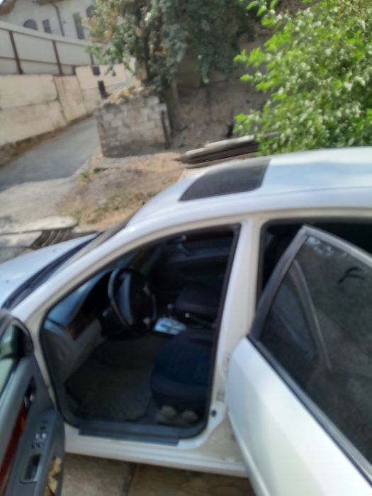 Lassit mator moy yiydi