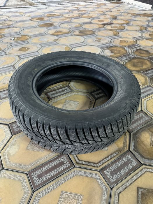 Зимние шины HABILEAD