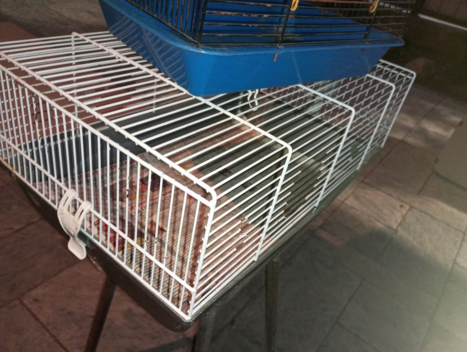 Продам клетки для грызунов