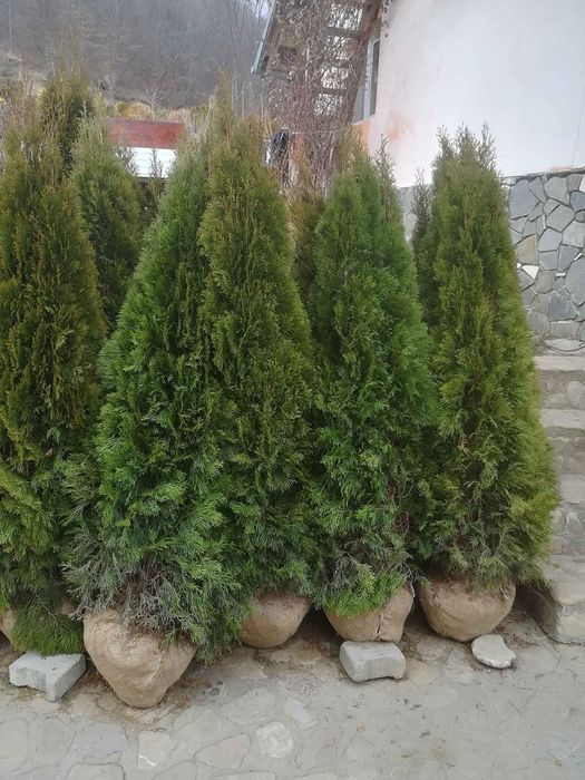 Piatra naturala de munte de Grecia 100%. Lucrez în toată Țara