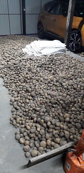 Vând cartofi de mâncat!