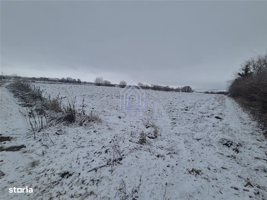 Teren intravilan Moara Bulai 51 ari