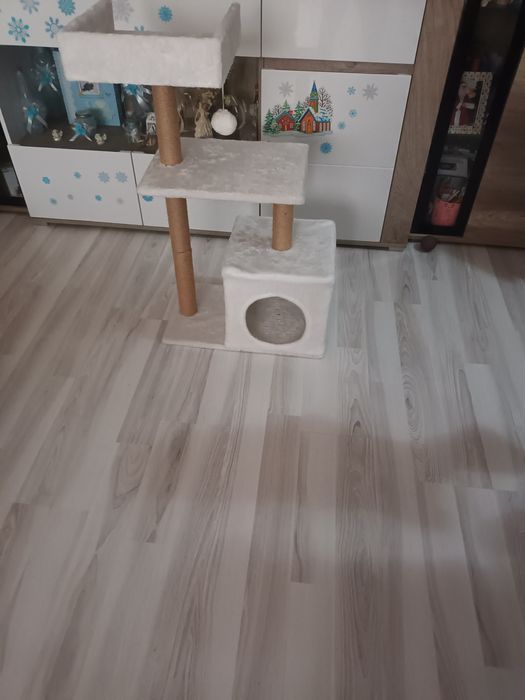 Котешка катеружка