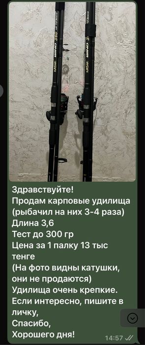 Карповое удилище
