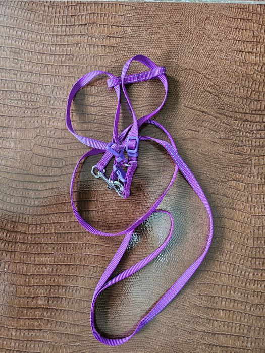 Поводок для кошки