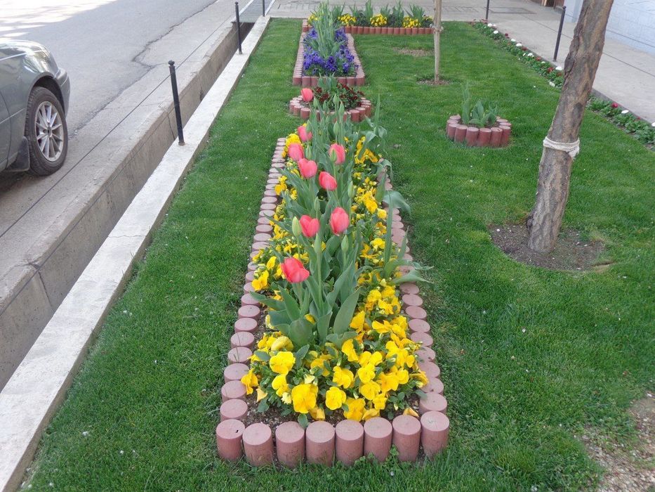 Автополив для газон