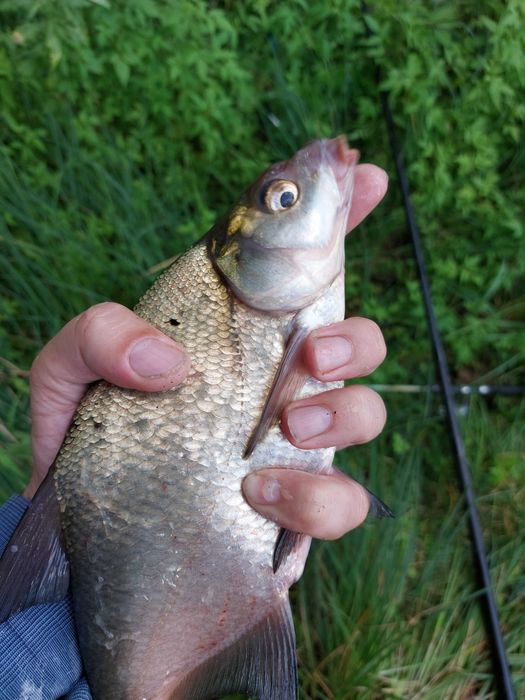 Продам дачу, район Телецентра СО "Кристалл"