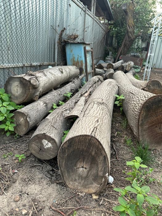 Спиленный орех на продажу