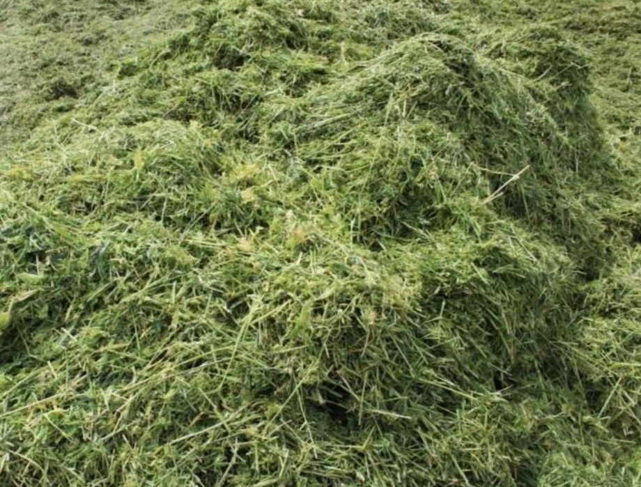 Продам сенаж с доставкой автомобиль урал