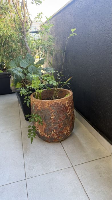 Stalp ornamental