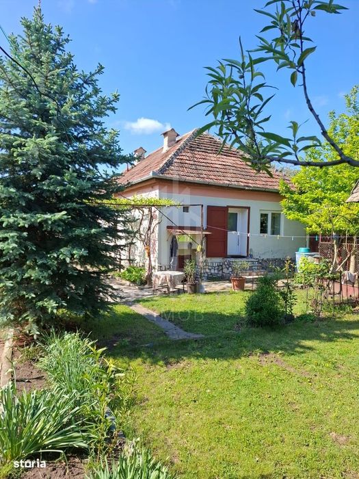 Casă cu două corpuri de clădire și teren generos – sat Boarta, județul