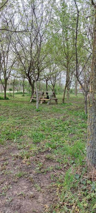 Vand 3 locuri de casa a cate 1500 mpatrati fiecare adica 15 arii