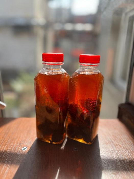 Сосновые шишки для иммунитета