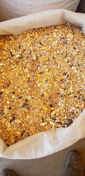 Vând uruiala/spărtură  din amestec