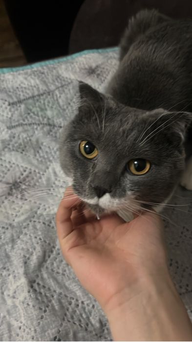 Ищем малышу дом и родителей