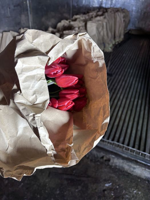 Премиальные тюльпаны 60-65 см с оформлением