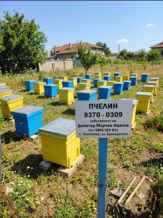 Продавам пчелен мед букет 2026