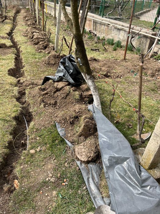 Verificari PRAM , Execut impamantare ,paratrasnet , solare impamantari