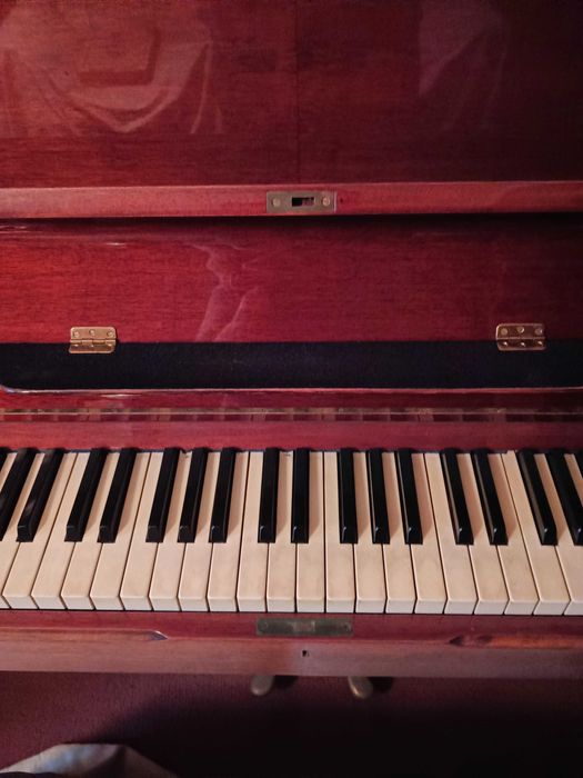 Пиано Julius Bluthner