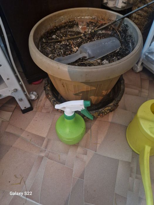 Цветочный горшок.