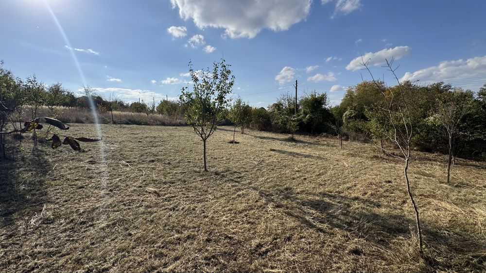 Парцел от СОБСТВЕНИК Село Неново