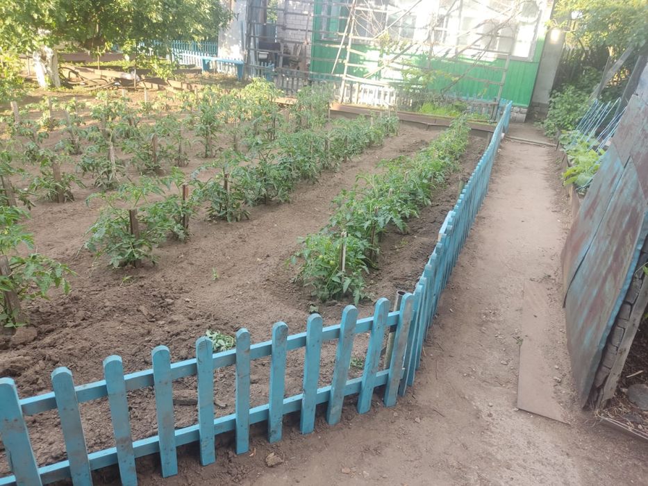 Дача садоводство!