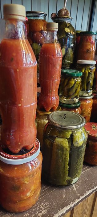 Продам  дачные соленья