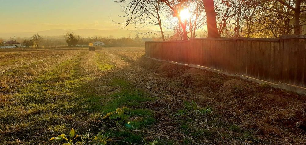 Teren intravilan 2950 mp