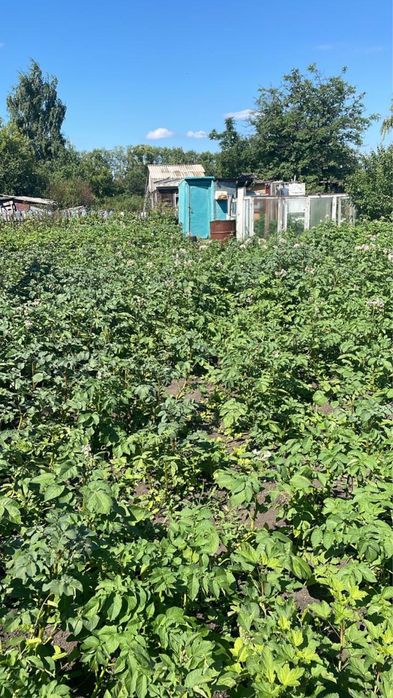 Продам дачу , СТ «Дружба»