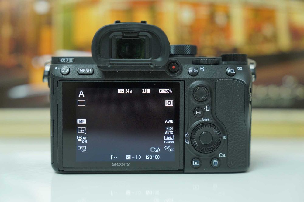 Sony Body A7III (29 cadre) + Obiectiv Sony 24-70mm F2.8 GM I