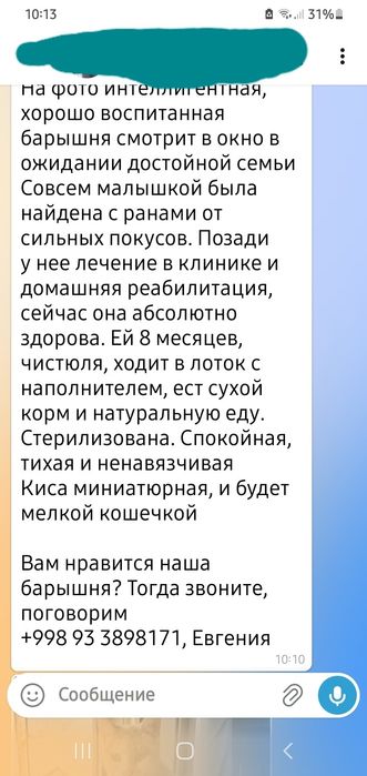Стерелизованная .кошечка 8 месяцев.  Ищет дом