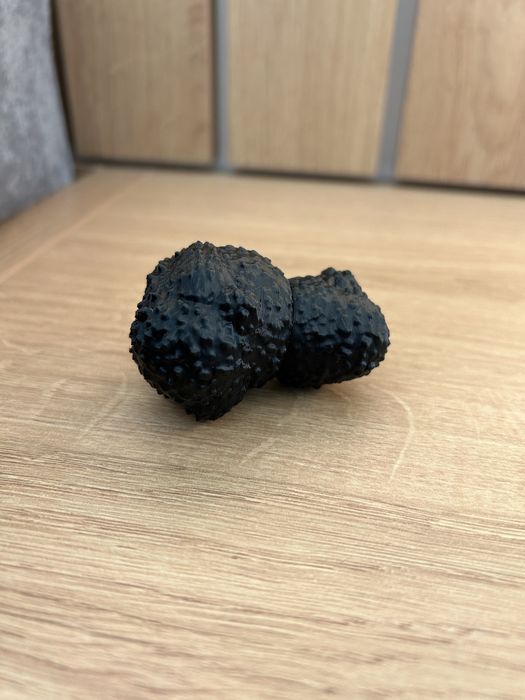 Пластмасов трюфел за тренировка и обучение на кучета