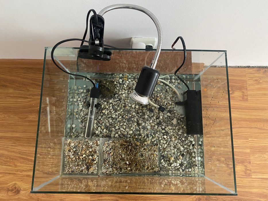 Broasca testoasa cu acvariu