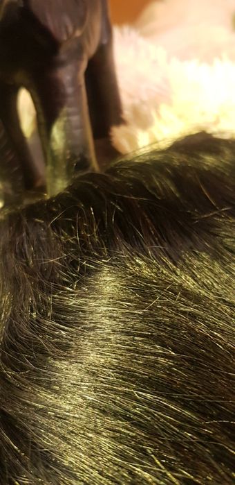 естествена коса-перфектно състояние