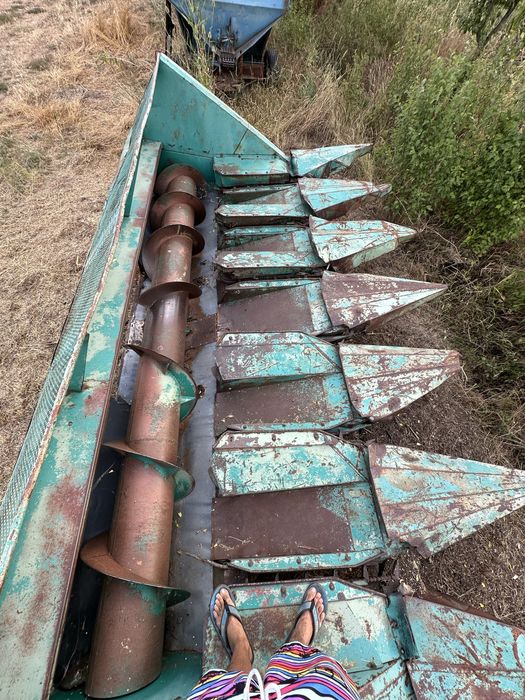 Rips/Heder/Masă 6F floare/porumb de pe Dropia, românesc, stare ft bună