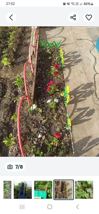 Продаю квартиру МСО (статус квартиры) и дачу на Кривом озере