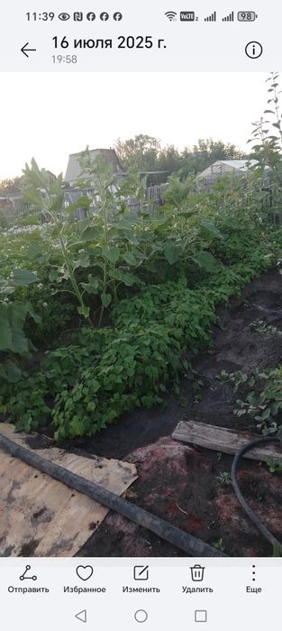 Продаётся дача  ПК "Черемушки"