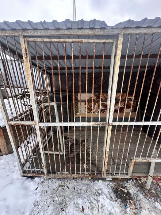 продается валлер для собаки,