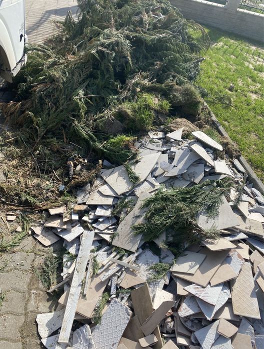 Servicii : transport moloz , debarasari , golili , defrisari vegetale